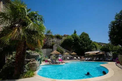 Pisicne Plongez dans le plaisir