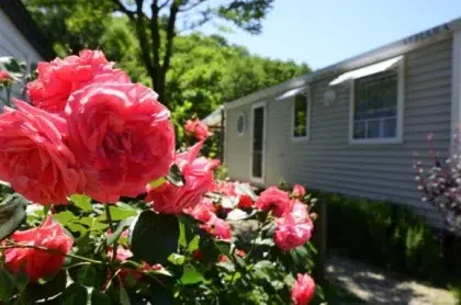 location mobilhome ohara 3 chambres camping ardeche 11 c93e72fd7c754319b42fd6a240700cfb