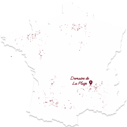 carte contact